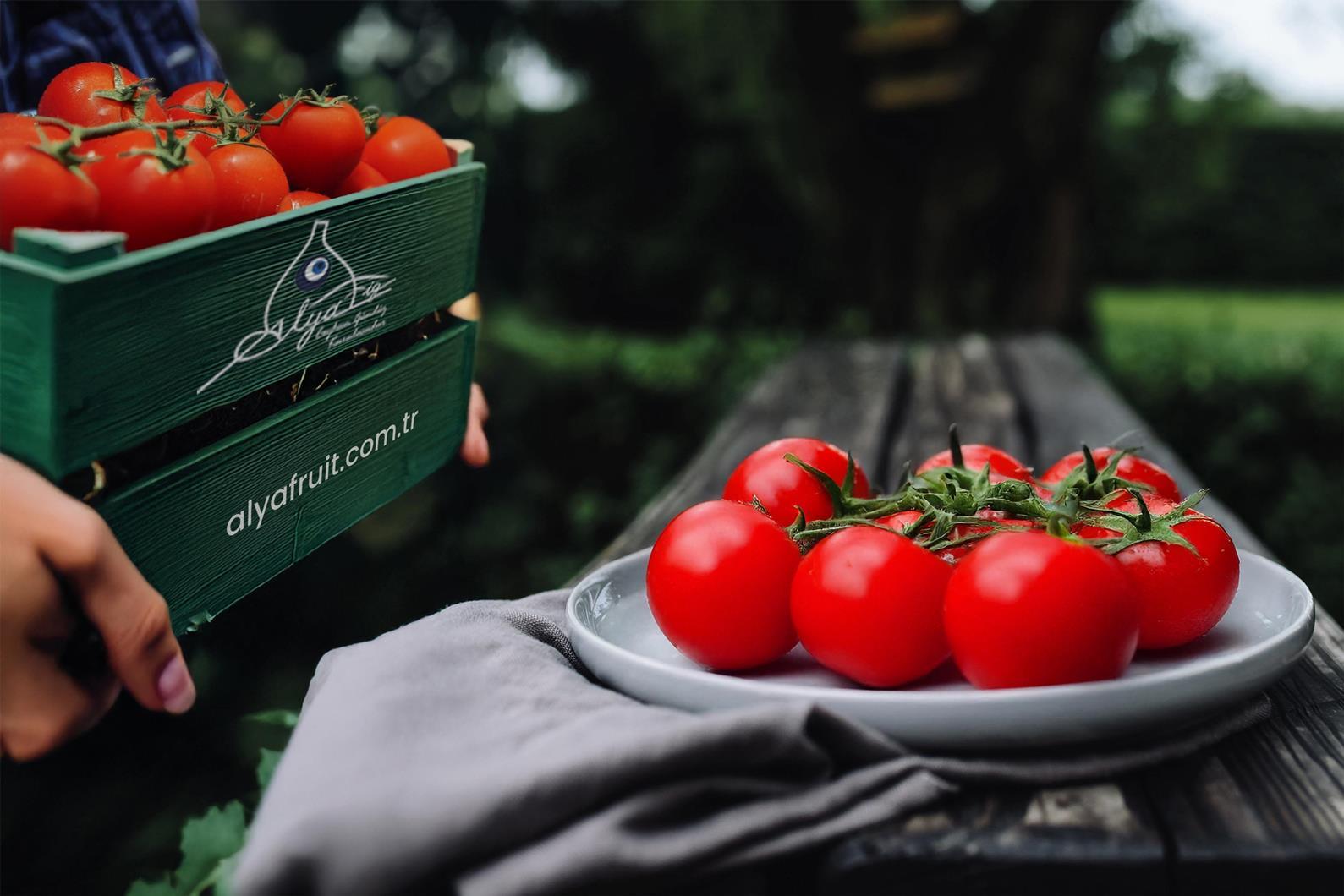 Alya Meyve & Gıda LTD ŞTİ Türkiye'nin Alya Fruits'ı en iyi hizmeti sunmaya kararlı
