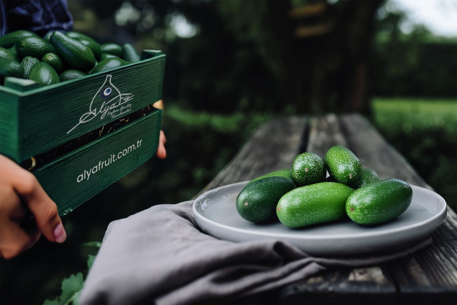 Avacado